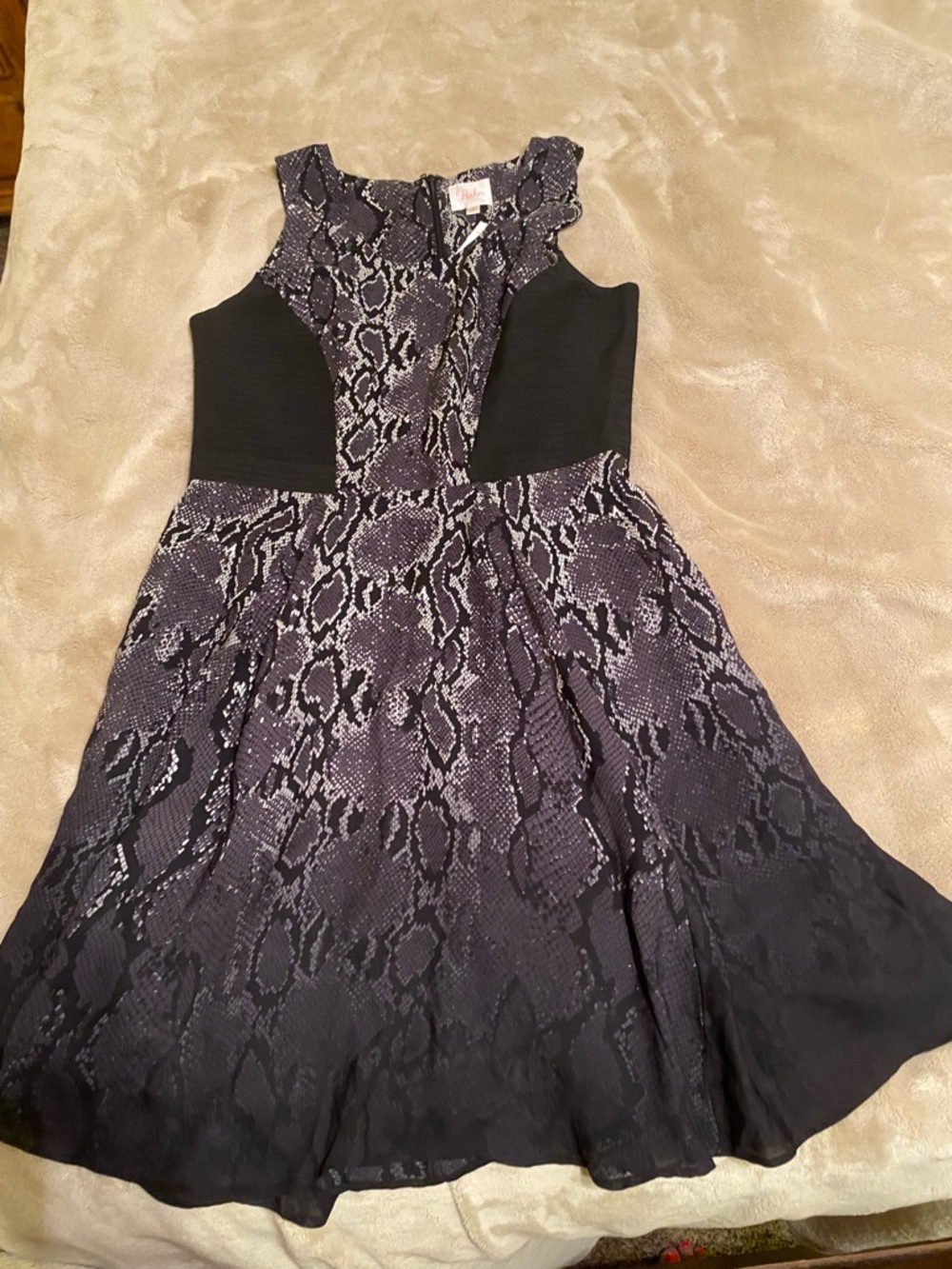 Parker Snake-Print Dress with Black Panels